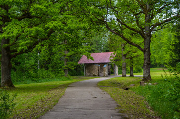 rustic streets in latvia in summer20