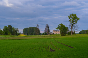 rustic streets in latvia in summer5