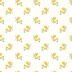 Floral seamless pattern of yellow flowers apricot. Cute summer print. Vector illustration on a white background for decor, wrapping paper