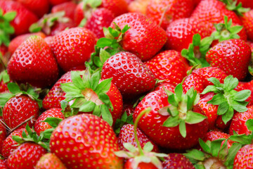 Berries of ripe tasty and sweet strawberry fruit pile