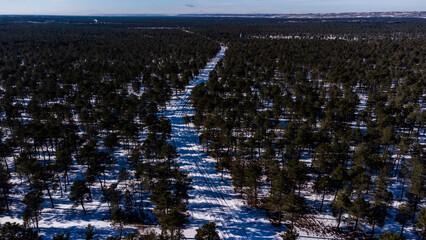 Viñedos y meseta castellano leonesa nevada