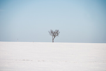 Viñedos y meseta castellano leonesa nevada