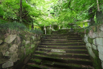 長学寺　七日市前田家墓所　群馬県　富岡市