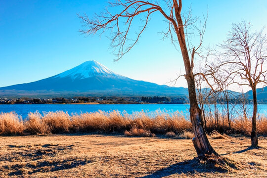 Mount Fuji viewed from Kawaguchi lake, Japan