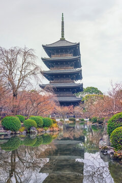 To-Ji temple in Kyoto city