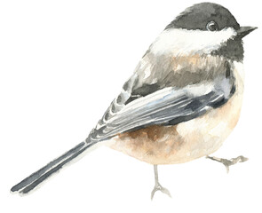 Watercolor grey tit Christmas illustration. Woodland winter forest nursery decoration for greeting card, poster, invitation, baby shower Merry Christmas,New Year, holiday print, sticker, poster art