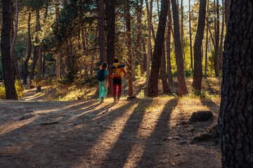 Obraz premium Two hikers walking in forest at sunset
