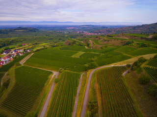 Weinberge von oben Drohne
