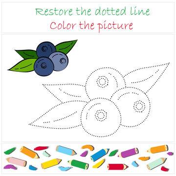 Blueberry. A page of a coloring book with a colorful fruit and a sketch for coloring. Handwriting practice. Educational game for toddlers and preschoolers. Isolated vector illustration, eps