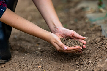 Compost soil, Organic plant fertilizer on hand for plantation. Agriculture, organic gardening, planting or ecology concept. Environmental, earth day. Hand holding soil,Hand dirty with soil