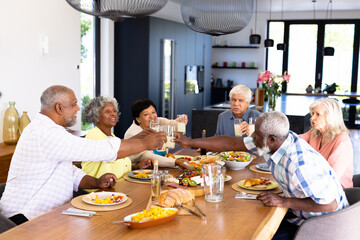 Fototapeta na wymiar Cheerful multiracial male, female senior friends toasting drinks while having lunch at dining table