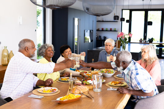 Cheerful multiracial male, female senior friends toasting drinks while having lunch at dining table