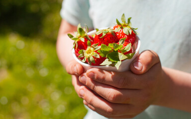 boy holding a white mug with red strawberries