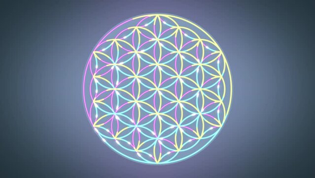 Flower Of Life sacred geometry symbol. Looped abstract animation