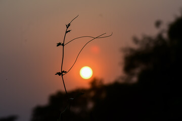 Awesome sun set in the end of the day in north east india in the month of October.