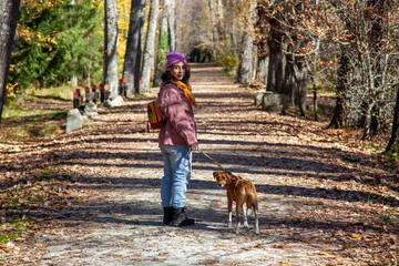 Mujer paseando por el sendero de un bosque junto a su perro. Chica de excursión con su mascota los...
