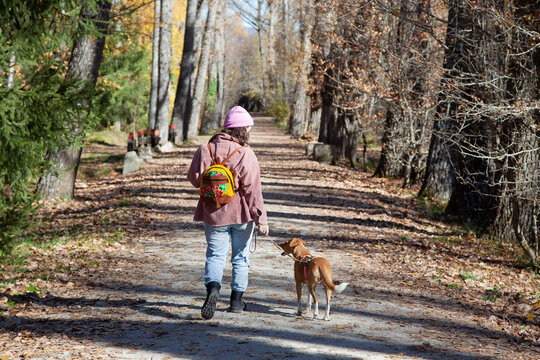 Mujer paseando por el sendero de un bosque junto a su perro. Chica de excursi&oacute;n con su mascota