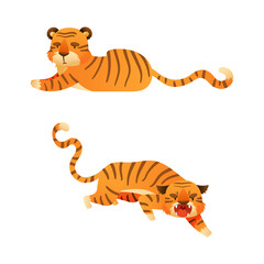 Fototapeta na wymiar Cute tigers set. Furious and relaxed wild jungle predator animal cartoon vector illustration