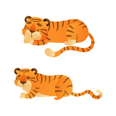 Cute tigers set. Wild jungle predator animal cartoon vector illustration