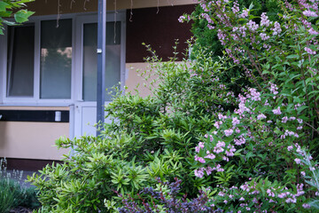 Natural ecological flower and plant design