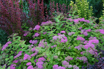 Obraz premium Natural ecological flower and plant design