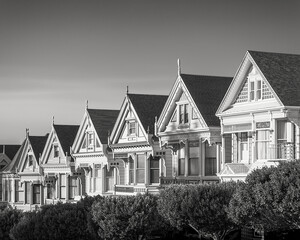 painted ladies