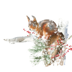 Watercolor squirrel on fir tree branch Christmas illustration. Woodland winter forest nursery decoration for greeting card, poster, invitation, baby shower Merry Christmas,New Year print, sticker