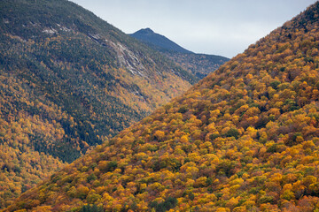 Fall in USA West Coast 1