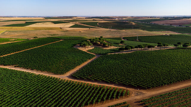 VI&Ntilde;EDOS y sus formas a vista de p&aacute;jaro.