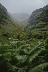 Naklejka premium view from the mountain