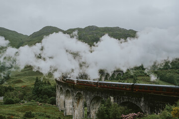 Fototapeta na wymiar train in the fog