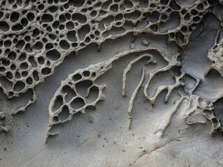 Rock texture 1