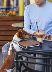 Dog friendly cafe and restaurant. Street cafe coffee break with dog. Pet friendly place. A dog with...