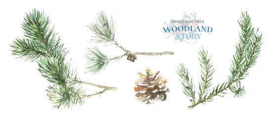 Watercolor winter forest Christmas illustration. Woodland set of plants cone, fir, pine, holly berry, nursery decor for greeting card, poster, invitation,baby shower Merry Christmas,New Year, sticker © Catherine