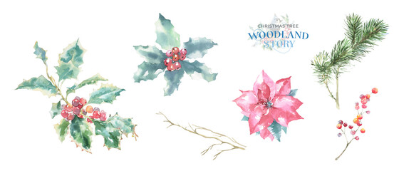 Watercolor winter forest Christmas illustration. Woodland set of plants cone, fir, pine, holly berry, nursery decor for greeting card, poster, invitation,baby shower Merry Christmas,New Year, sticker