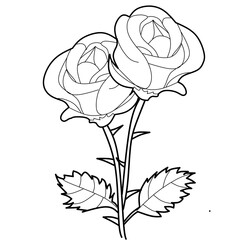 illustration of rose