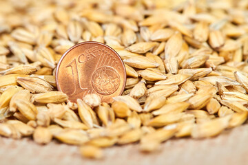 One cent euro coin in barley grains