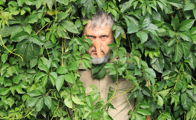 a man with a long nose is hiding in the leaves