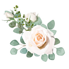 Fototapeta premium A beautiful Rose flower is isolated on white background. Vector watercolor.