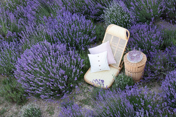 Glass of lemonadein a lavender field. Violet flowers on the background.