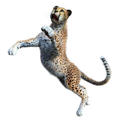 3D Rendering Big Cat Cheetah on White