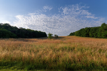 Meadow in the Renarde valley. Ile-De-France region,