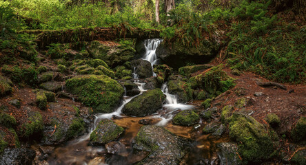 Panorama Trillium Falls