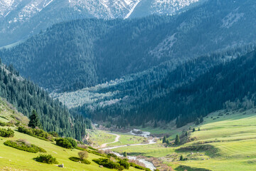 Snowy peaks, slopes of the Tien Shan mountains, Kyrgyzstan