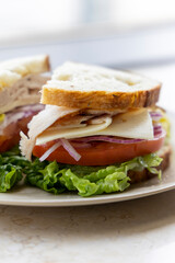 Turkey Sandwich and Potato Chips
