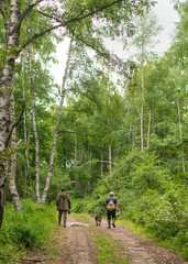 Obraz premium Two men in forest walk