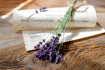 Lavendel mit Notenblatt