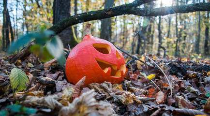 Orange pumpkin in the woods. Scary Carved Jack-O-Lantern. Halloween and darkness theme.