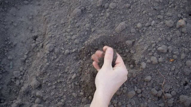 The hand rubs the soil close-up on the background of the garden beds, top view. Checking fertile soil for moisture