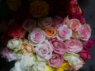 bouquet of roses